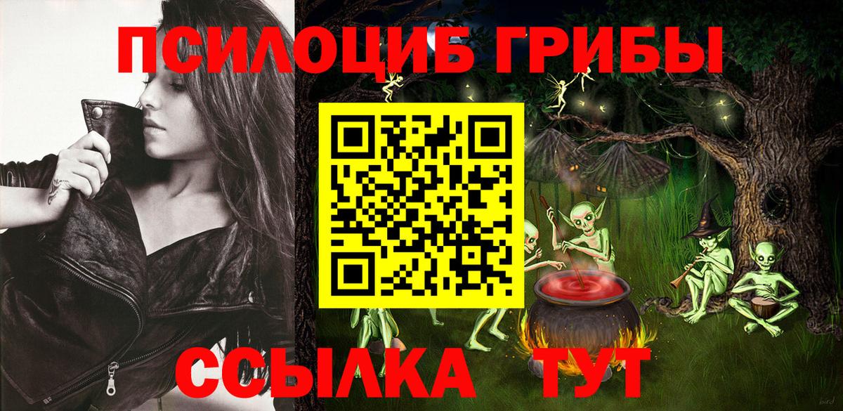 где продают наркотики  Вход с VPN  Печора  Псилоцибиновые грибы Psilocybine cubensis 