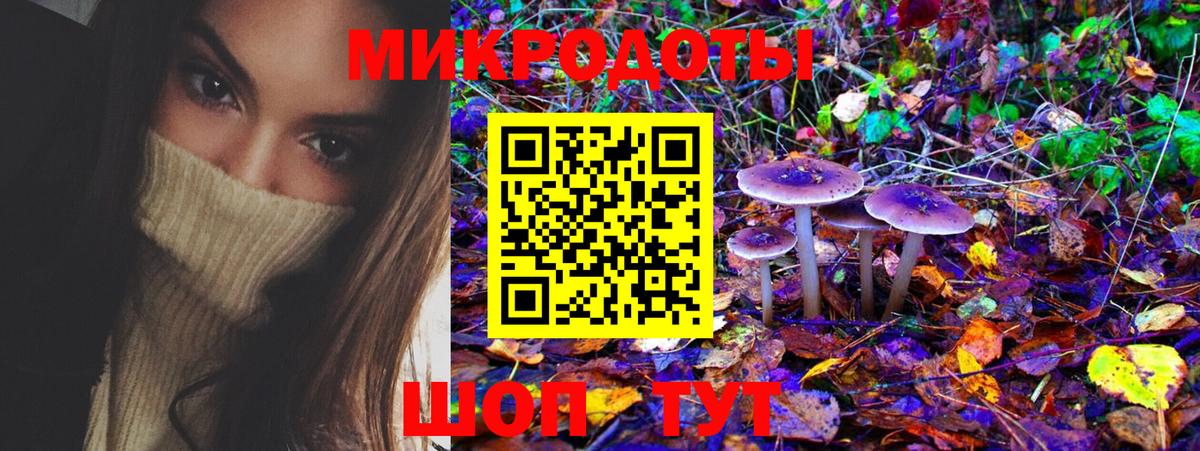 Псилоцибиновые грибы MAGIC MUSHROOMS Печора